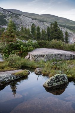 Harika güneşli gün dağ gölüdür. Yaratıcı kolaj. Güzellik dünya Ergaki Ulusal Park, Rusya Federasyonu