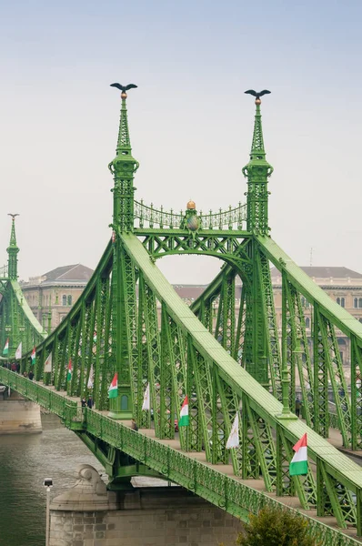 BUDAPEST, MAGYARORSZÁG - 2016. február 21.: A budapesti Szabadság híd vagy Szabadság híd összeköti Budát és Pestet a Dunán keresztül. — Stock Fotó