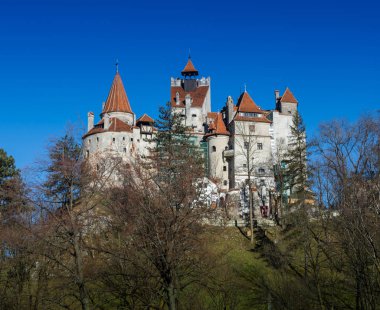 Ortaçağ Bran Kalesi Draculanın Kalesi, Brasov, Transilvanya, Romanya