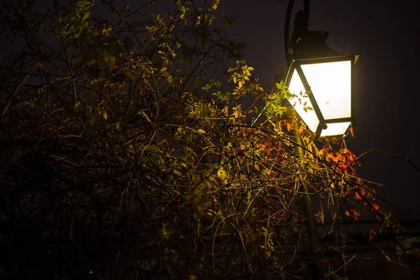 Osvětlené dlážděné ulici s odrazy světla na dláždění v staré historické město v noci. Tmavé rozmazané siluetu osoby evokuje Jack Rozparovač. — Stock fotografie