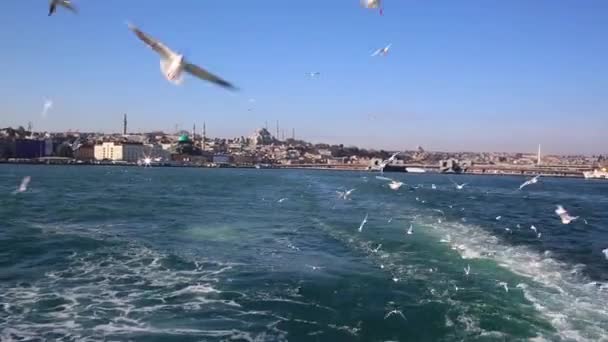 Гавань Эминону, Стамбул, Турция — стоковое видео