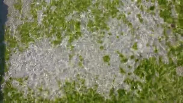 Pamukkale, Truthahn. wunderschöne weiße Kalkberge mit fließendem Mineralwasser gegen den blauen bewölkten Himmel an sonnigen Tagen — Stockvideo