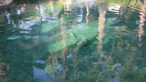 Blauw water rimpelde achtergrond in het zwembad — Stockvideo