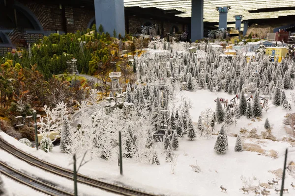 冬の鉄道 グランド モック博物館はサンクトペテルブルクの都市 — ストック写真