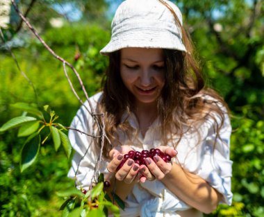 Doğa gününde taze meyve tutan eller.