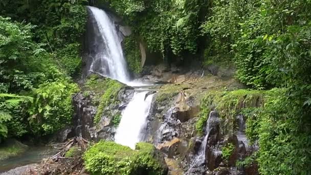 Cachoeira bonita em Bali, Indonésia. — Vídeo de Stock