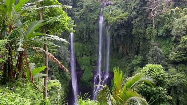 Красивый водопад на Бали, Индонезия. — стоковое видео