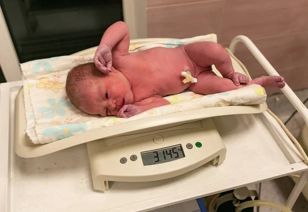 Nouveau-né petit bébé après la naissance à l'hôpital — Photo