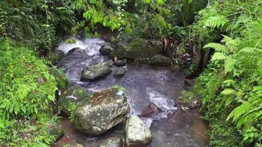 Queensland, Avustralya 'da Sunshine Sahili' nde akan büyük bir şelale..
