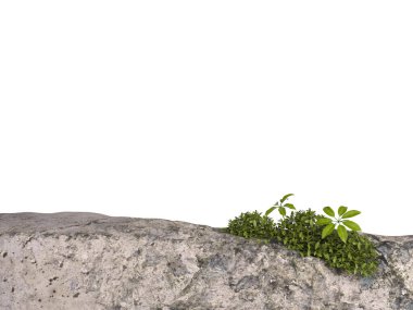 Kozmetik ürün markalaşması, kimlik ve ambalaj ilhamı için arka plan. Beyaz arkaplan üzerinde izole edilmiş hafif duvarcılık podyumu 3D resimleme.