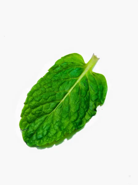 Picture Mint Leafs — Stock Photo, Image