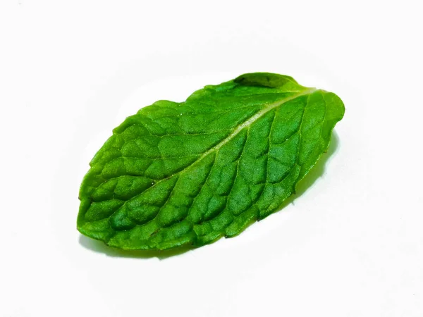 Picture Mint Leafs — Stock Photo, Image