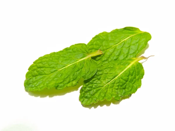 Sebuah Gambar Daun Mint — Stok Foto