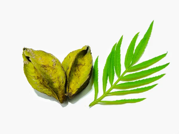 Picture Carambola Leafs — Stock Photo, Image