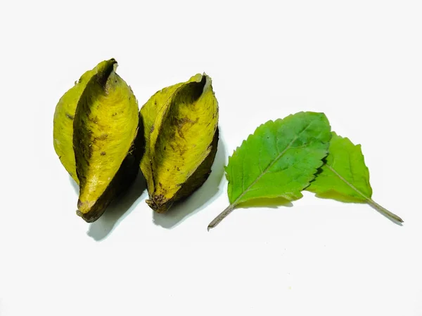 Een Schilderstuk Van Carambola Met Bladeren — Stockfoto