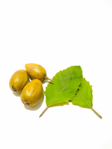 Picture Plums Leafs — Stock Photo, Image