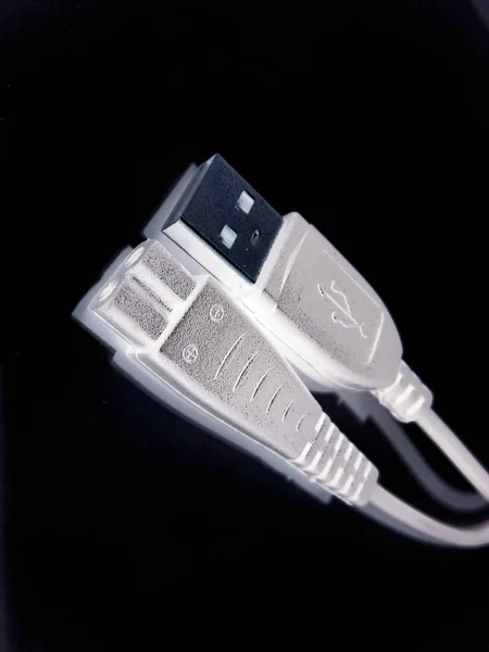 Een Schilderstuk Van Usb Kabel — Stockfoto