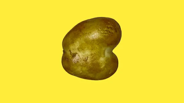 Een Schilderstuk Van Aardappel — Stockfoto