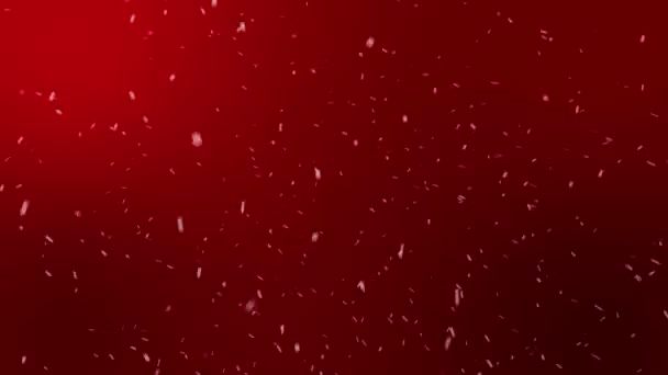 Fiocco Neve Animato Festivo Sfondo Stagionale Bellissimo Natale Che Cade — Video Stock