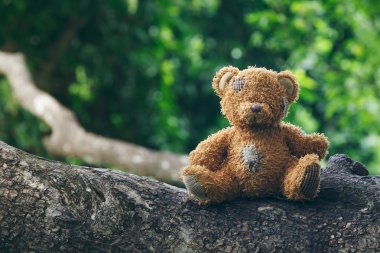 Sevimli ayıcık bir dalda oturan.