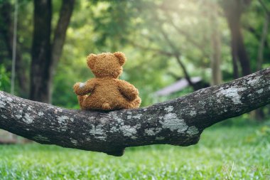 Sevimli ayıcık bir dalda oturan.