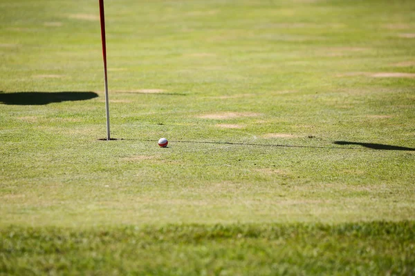 Golfový míček na trávníku, zelená — Stock fotografie