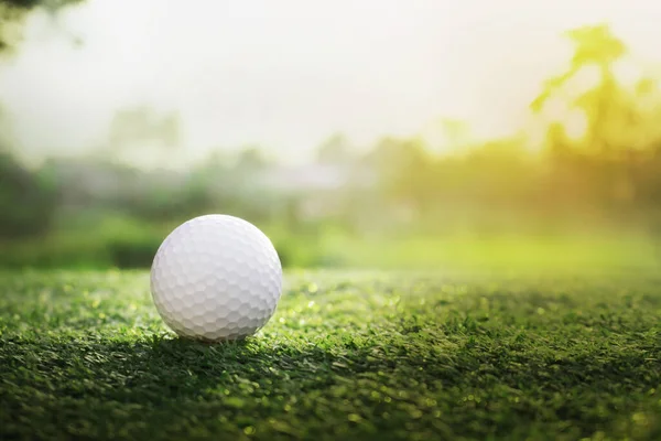 Golf Ball Green Lawn Beautiful Golf Course Morning Sunshine Ready — Stock Photo, Image