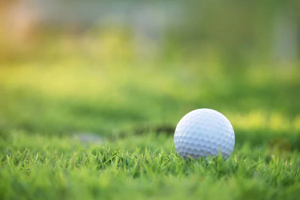 ゴルフボールは朝の日差しと美しいゴルフコースの緑の芝生の上にあります まず第一にゴルフの準備ができて 健康のための休日の間に世界中の人々が遊ぶスポーツ — ストック写真