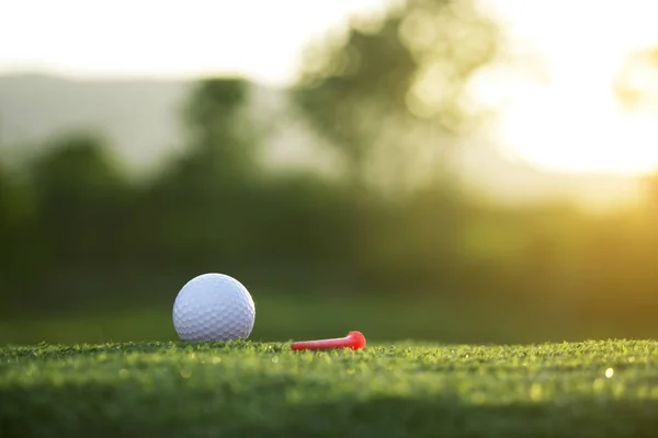 高尔夫球在一个阳光明媚的高尔夫球场的绿地上 有一个阳光明媚的高尔夫球场 准备在第一时间打高尔夫球 — 图库照片