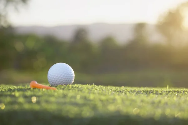 Golf Ball Green Lawn Beautiful Golf Course Morning Sunshine Ready — Stock Photo, Image