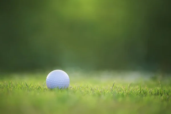 Golfball Ist Auf Einem Grünen Rasen Einem Schönen Golfplatz Mit — Stockfoto