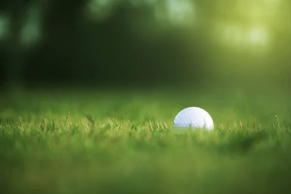 Golfbal Een Groen Gazon Een Prachtige Golfbaan Met Ochtendzon Klaar — Stockfoto