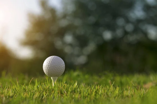 Golf Labda Tee Egy Gyönyörű Golfpálya Reggeli Napsütés Készen Áll — Stock Fotó