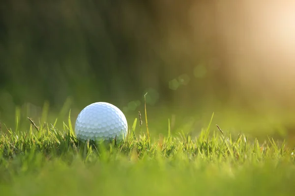 Golf Bollen Grön Gräsmatta Vacker Golfbana Med Morgonsol Redo För — Stockfoto