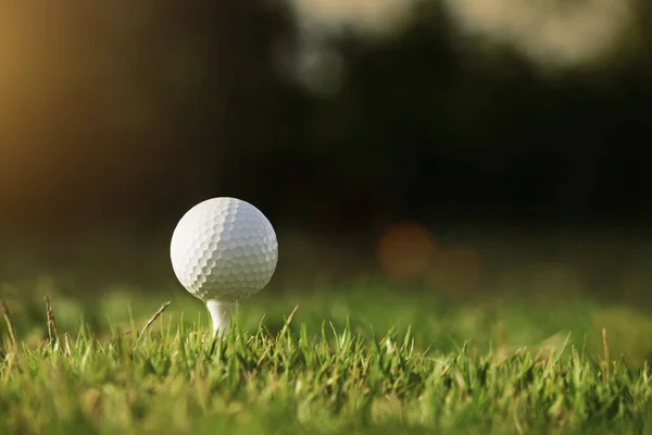 朝の日差しと美しいゴルフコースでティーゴルフボール まず第一にゴルフの準備ができて 健康のための休日の間に世界中の人々が遊ぶスポーツ — ストック写真