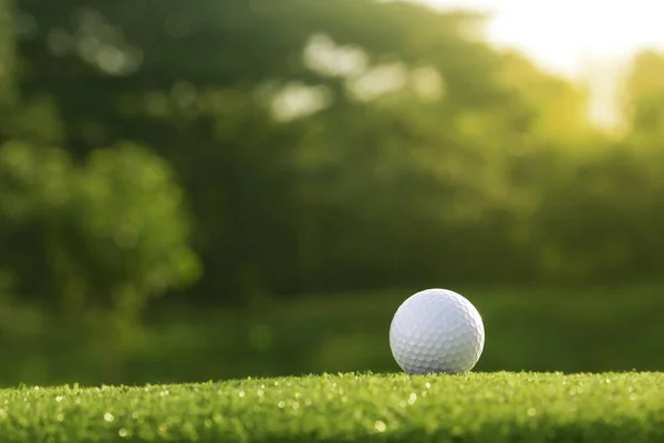 Golf topu güzel bir golf sahasında sabah güneşiyle birlikte. İlk kısa sürede golfe hazır. Dünyanın dört bir yanındaki insanlar tatillerde sağlık için oynuyorlar..