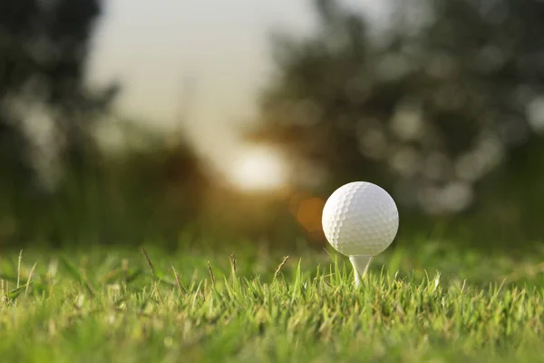 Golf Ball Tee Beautiful Golf Course Morning Sunshine Ready Golf — Stock Photo, Image