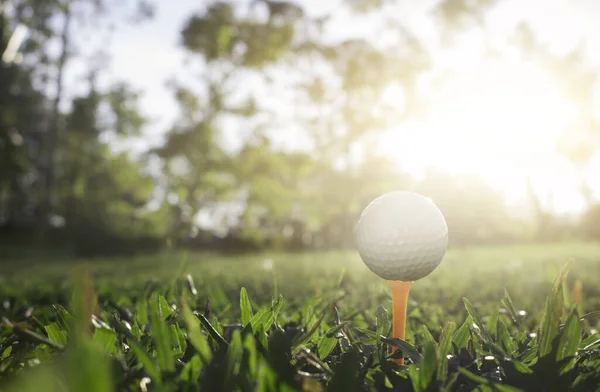 Pelota Golf Tee Hermoso Campo Golf Con Sol Mañana Listo — Foto de Stock