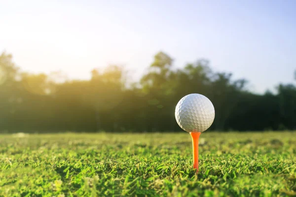 Golfball Beim Abschlag Auf Einem Wunderschönen Golfplatz Mit Morgensonne Golfbereit — Stockfoto