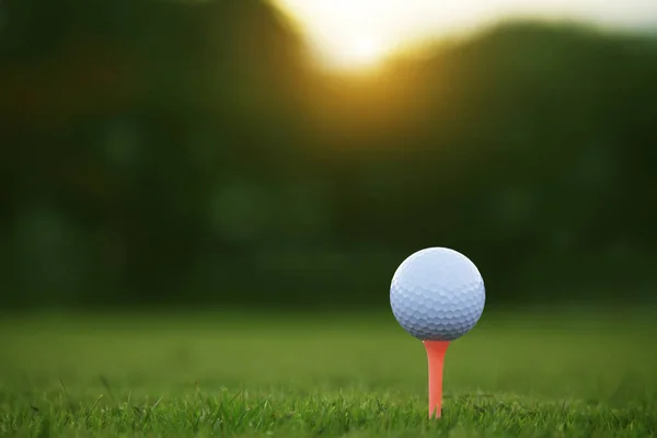 Golfbal Tee Een Prachtige Golfbaan Met Ochtendzon Klaar Voor Golf — Stockfoto