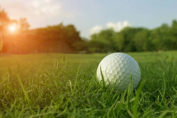 Bolas Golfe Gramados Verdes Belos Campos Golfe Com Sol Subir — Fotografia de Stock