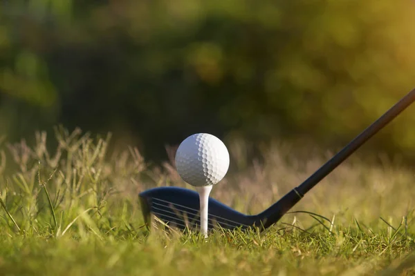 Golf Clubs Golf Balls Green Lawn Beautiful Golf Course Morning — Stock Photo, Image