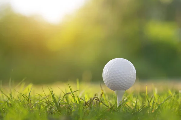 Golfboll Tee Vacker Golfbana Med Morgonsol Redo För Golf Första — Stockfoto