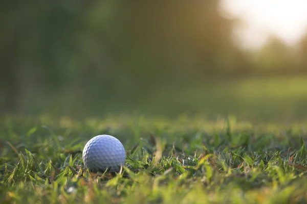 Golf Ball Green Lawn Beautiful Golf Course Morning Sunshine Ready — Stock Photo, Image