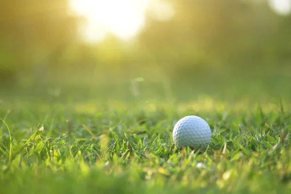 Golfbal Een Groen Gazon Een Prachtige Golfbaan Met Ochtendzon Klaar — Stockfoto