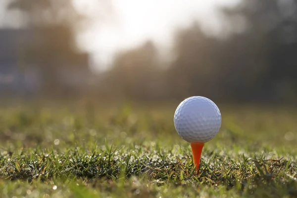 Golfbal Tee Een Prachtige Golfbaan Met Ochtendzon Klaar Voor Golf — Stockfoto