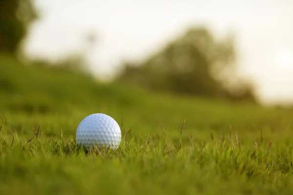 Golfball Ist Auf Einem Grünen Rasen Einem Schönen Golfplatz Mit — Stockfoto