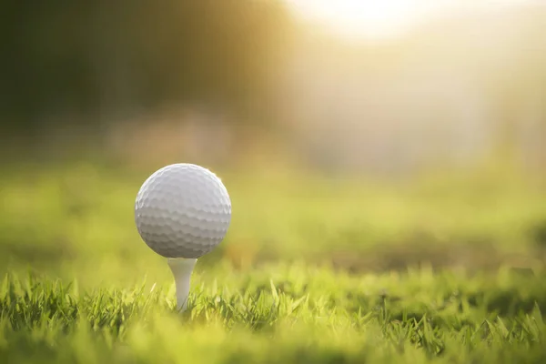 golf ball on tee in a beautiful golf course with morning sunshine.Ready for golf in the first short.Sports that people around the world play during the holidays for health.