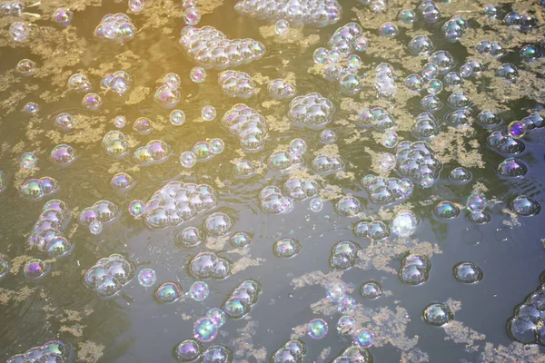 Bubbles on the surface of water that are polluted by draining waste water into natural water sources.Environmental problems that often occur in large cities or in developing countries.