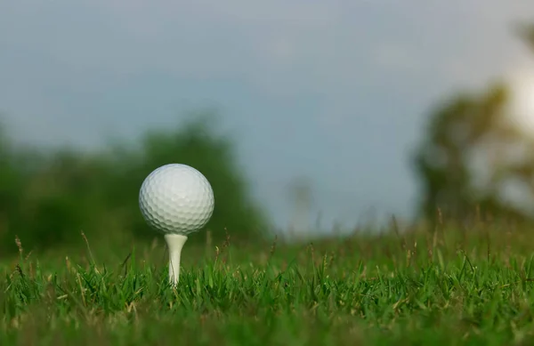 Golfball Beim Abschlag Auf Einem Wunderschönen Golfplatz Mit Morgensonne Golfbereit — Stockfoto